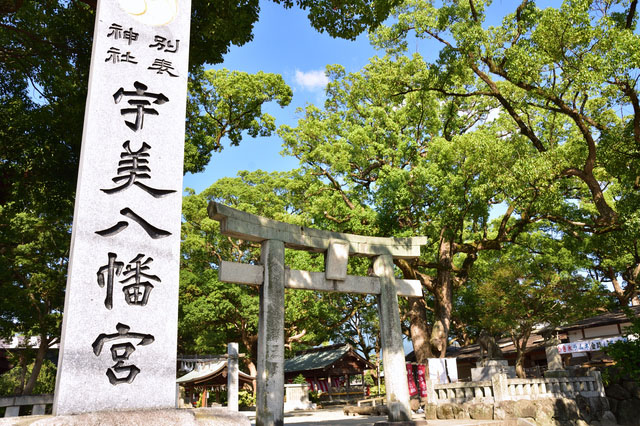 南蔵院・宇美八幡宮コース(3時間 49k)イメージ